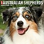 2027 Willow Creek 12" x 12" Monthly Wall Calendar, Assorted Colors (58930)~#|#~517CDD86-B27E-45AD-BB19F4B7EE24A916_sc7