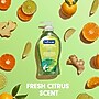 Softsoap Antibacterial Liquid Hand Soap, Fresh Citrus Scent, 11.25 oz., 6/Carton (US03563ACT)~#|#~5264802B-5AC3-44D2-B6B35C9959BAFA7C_sc7