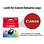 Canon PG-295XL/CL-286XL Black/Tri-Color High Yield Ink Cartridges, 2/Pack (7164C004)~#|#~52E255AC-741F-4281-96975A5C66964C3E_sc7