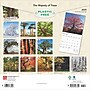 2025 BrownTrout The Majesty of Trees 12" x 12" Monthly Square Wall Calendar (9781975477394)~#|#~52E5DF3F-3100-47CA-843C189C9BBA69DC_sc7