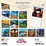 2026 BrownTrout National Parks 12" x 12"  Monthly, Paper Cover, National Parks (9798330704804)~#|#~52F73C4F-25EA-4D53-BDA2425D85A83F8B_sc7