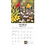 2026 BrownTrout Feathered Friends 12" x 12" Monthly Wall Calendar (9781773728780)~#|#~531706DF-CCF9-4034-A944404368F3990E_sc7