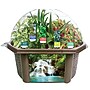 Fernroot Sensory Biosphere, Multicolored (SRCEBRB620)~#|#~5380900F-2A7A-4A1C-8A62C72A475BD4A6_sc7