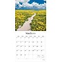 2026 Brush Dance Pathways 12" x 12" Monthly Wall Calendar (9798330706556)~#|#~53C9520C-F11E-4214-B0E4AC7C2AE1115C_sc7