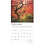 2025 BrownTrout The Majesty of Trees 12" x 12" Monthly Square Wall Calendar (9781975477394)~#|#~541F71FA-4425-463C-96EE106A8567D9B5_sc7