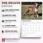 2027 BrownTrout For the Love of American Pit Bull Terriers 14" x 12" Monthly Wall Calendar, Assorted Colors (9798330714759)~#|#~542A744D-F880-46A8-845DBB4A02680A42_sc7