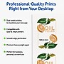 Avery Rectangle Flourished Edge Matte Blank Card, White, 100/Pack (19479399767)~#|#~5453143C-EA53-404F-B8BD9192C113B8A1_sc7