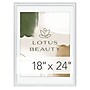 Staples 18" x 24" Plastic Poster Frame (PPFRM-SB-W-1824)~#|#~54A4E2AD-A3A1-43B7-B6435013033D3FA3_sc7