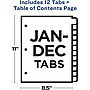 Avery Office Essentials Table 'n Tabs Pre-Printed Monthly Paper Divider, Jan-Dec Tabs, Multicolor, 1 Set (AVE11679)~#|#~54BFCC65-E9DC-4904-911F982AC636D9DE_sc7