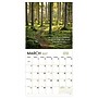 2027 TF Publishing Paths to God 11" x 12" Monthly Wall Calendar, Multicolored (27-1022)~#|#~54D6ED70-C98E-47DC-A69D636980813AB3_sc7