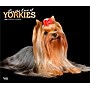 2026 BrownTrout For the Love of Yorkshire Terriers 14" x 12" Monthly Wall Calendar (9798330707188)~#|#~54DCC30F-6B66-45FB-BDB1597CF87155E4_sc7