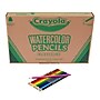 Crayola Classpack Watercolor Pencils, Assorted Colors, 240/Box (BIN687507)~#|#~55B55D5E-1A4F-4212-9AD174F12BA9630D_sc7