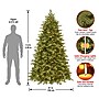 National Tree Company 7.5' Pre-Lit Princeton Fraser Fir Artificial Christmas Tree (PEPO2-D08-75)~#|#~55B9E25A-3CF1-4752-849BDD0BE91CC4CE_sc7