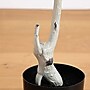 Nearly Natural 5' Autumn Paper Birch Artificial Fall Tree (T4746)~#|#~56CFFC66-9C7B-4C40-834C207A4F4B5C0C_sc7