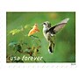 USPS Garden Delights Forever 20 Postage Stamps (FOR-GARDENDE-20)~#|#~57A5FCA9-2B27-4DBE-99299DAE927F2AD6_sc7