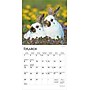 2026 BrownTrout Honey Bunny 7" x 7" Monthly Wall Calendar (9798330703647)~#|#~57C338C6-A741-455E-A0742635130FF943_sc7