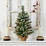 Nearly Natural Snow Tipped Pine and Berry Artificial Christmas Tree, 2' (T3326)~#|#~58847BD0-E155-4784-B4AB7DCBCA136254_sc7