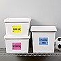 Avery TrueBlock Laser Shipping Labels, 3-1/3" x 4", White, 6 Labels/Sheet, 500 Sheets/Box, 3,000 Labels/Box (95905)~#|#~5884B9EC-3B36-4386-B395BC14287F34A5_sc7