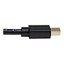 StarTech 1' Mini DisplayPort to Display Port Audio/Video Monitor Cable, Black (MDP2HDEC)~#|#~58888BBF-5193-41D6-9D772BCA342D1358_sc7