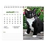 2026 BrownTrout Kittens 7.5" x 6" Monthly Desk Calendar (9798330704118)~#|#~58D01945-8600-46B6-A8697DFF11038984_sc7