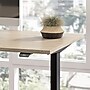 Bush Business Furniture Move 40 Series 48"W Electric Adjustable Standing Desk, Natural Elm/Black Powder Coat (M4S4824NEBK)~#|#~58F7E2FB-4AD4-4786-9F67D1B723F5B437_sc7