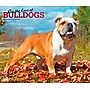 2026 BrownTrout For the Love of Bulldogs 14" x 12" Monthly Wall Calendar (9798330707133)~#|#~59E26277-C4D2-472D-97097EE17078190F_sc7