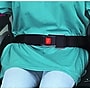 Briggs Healthcare Wheelchair Safety Strap, Black (517-5013-0200)~#|#~5AA8C618-1433-4629-B5D7BFF5AF0E35FD_sc7