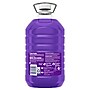 Fabuloso Multi-Purpose Cleaner, Lavender Scent, 169 fl. oz. (153122)~#|#~5B1D2EF0-4FA7-4AED-AFE1A94DEB0849F1_sc7