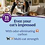 Fresh Step Odor Shield Clumping Cat Litter, Febreze Scent, 22 lb.  (60767)~#|#~5B5E0153-A96D-4FE3-885C9E8CDFF58FF7_sc7