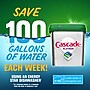 Cascade Platinum ActionPacs Dishwashing Detergent Pacs, Fresh Scent, 59 Pacs/Pack (97726)~#|#~5B6F86BF-1384-4007-83DAA3989A82894A_sc7