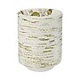 Dixie Ultra Pathways Heavy-Weight Paper Bowls, 20 oz., 500/Carton (SX20PATH)~#|#~5C283889-5E10-41DE-B9BFE33F08779626_sc7