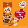 Coffee mate Creamer Pumpkin Spice Liquid Creamer, 18.7 oz., 50/Box (NES75520)~#|#~5CE7AA41-38DA-40EC-AF82B510DAA82C6A_sc7