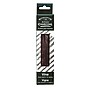 Winsor & Newton Artists' Extra Soft Vine Charcoal, 12/Pack (WNX7005164)~#|#~5D1AF3EB-10BA-4702-B7D6F4101E2093AD_sc7