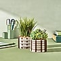 Lifelines FlowCrafts: Cord-Wrapped Planters (167005)~#|#~5D9A3A7C-8F6A-4810-B5060F939A646180_sc7