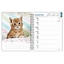 2025 BrownTrout Kittens 6" x 7.75" Weekly Engagement Planner, Paper Cover, Multicolored (9781975473136)~#|#~5E0F40FE-2F21-4193-953922E7771E7A03_sc7