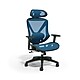 Ergonomic Chairs