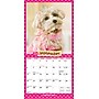 2026 BrownTrout Puppies in Pink 7" x 7" Monthly Wall Calendar (9798330707942)~#|#~5E50C09A-DFA0-4A8C-A81001ADB2B09649_sc7
