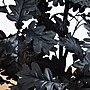 Nearly Natural Artificial Halloween Black Oak Tree, 4' (T5192)~#|#~5E9D872F-AE5F-4B14-997FC03719B030CD_sc7