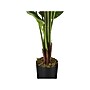 Monarch Specialties Inc. Strelitzia in a Pot (I 9545)~#|#~5EB173C9-59DF-44E0-904F63ADCE89B282_sc7