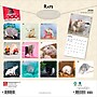 2026 BrownTrout Rats 12" x 12" Monthly Wall Calendar (9798330705313)~#|#~5F8B6029-D2CB-43E2-AFBD439603C08015_sc7