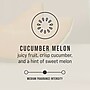Rubbermaid Commercial CirculAir 90 Solid Air Freshener & Deodorizer Refill, Cucumber Melon Scent, 6/Carton (FG402470)~#|#~6056A413-407A-402D-9A47B432D0D1C8DB_sc7