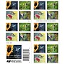 USPS Garden Delights Forever 20 Postage Stamps (FOR-GARDENDE-20)~#|#~60BBB1F0-D40A-4073-8CBF29D74DF5C1CA_sc7
