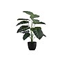 Monarch Specialties Inc. 24" Artificial Alocasia Plant in Pot (I 9578)~#|#~614057B1-4C89-40DA-9ACD8E0C926143F8_sc7