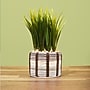 Lifelines FlowCrafts: Cord-Wrapped Planters (167005)~#|#~614F11A3-99BA-48D1-9979754CA48732D6_sc7