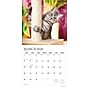 2026 Plato I Love Cats 12" x 12" Monthly Wall Calendar (9798330706808)~#|#~615CF182-AC61-4B60-BB1530E98AFF4D5F_sc7