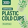 Perk Eco 16 Oz Compostable Plastic Cold Cups, 300 Count, Plant‑Based Disposable Cups for Cold Drinks, Clear/Green~#|#~6184E88B-8534-45AA-A67D4875195083A3_sc7
