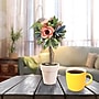 National Tree Company 12" Multicolor Spring Floral Topiary (EG79-19B0129-1)~#|#~61A84884-8DC5-4928-9AADEB29C6C3385F_sc7