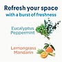 Clorox Disinfecting, Sanitizing and Antibacterial Spray Mist, Lemongrass Mandarin, 16 Fluid oz. (60151)~#|#~6275C2A0-C7C1-4FF3-90725A4F5FF98D58_sc7