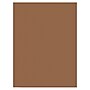 Prang 9" x 12" Construction Paper, Brown, 50 Sheets/Pack (PAC6703)~#|#~62A1F424-7526-4AEB-B3B799B5A70DDEB6_sc7