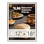 Staples 12" x 18" Plastic Poster Frame, Silver (PPFRM-1218-SLV) ~#|#~62B6691E-4852-4659-BC59088829520B6F_sc7